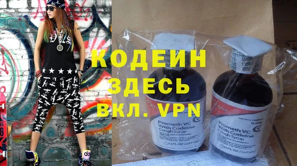 прущие грибы Осинники