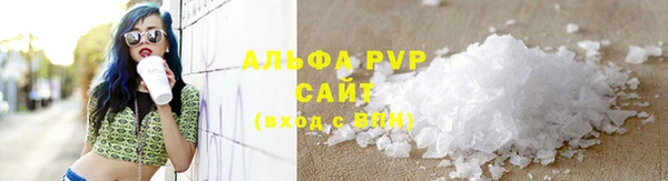 прущие грибы Осинники