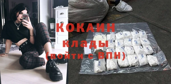 прущие грибы Осинники