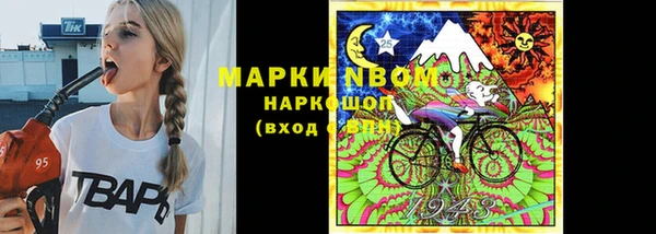 прущие грибы Осинники