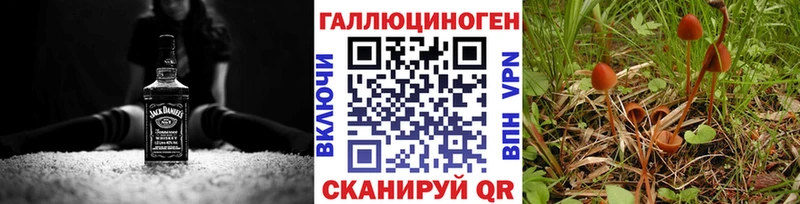 Галлюциногенные грибы Psilocybine cubensis Барнаул