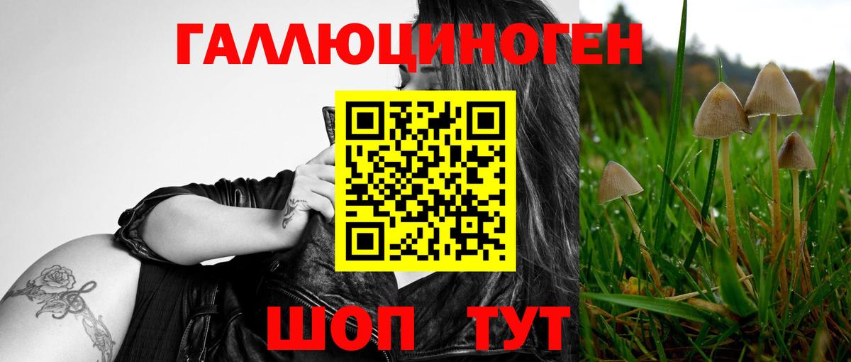 Барнаул  Псилоцибиновые грибы Magic Shrooms  Вход с VPN 